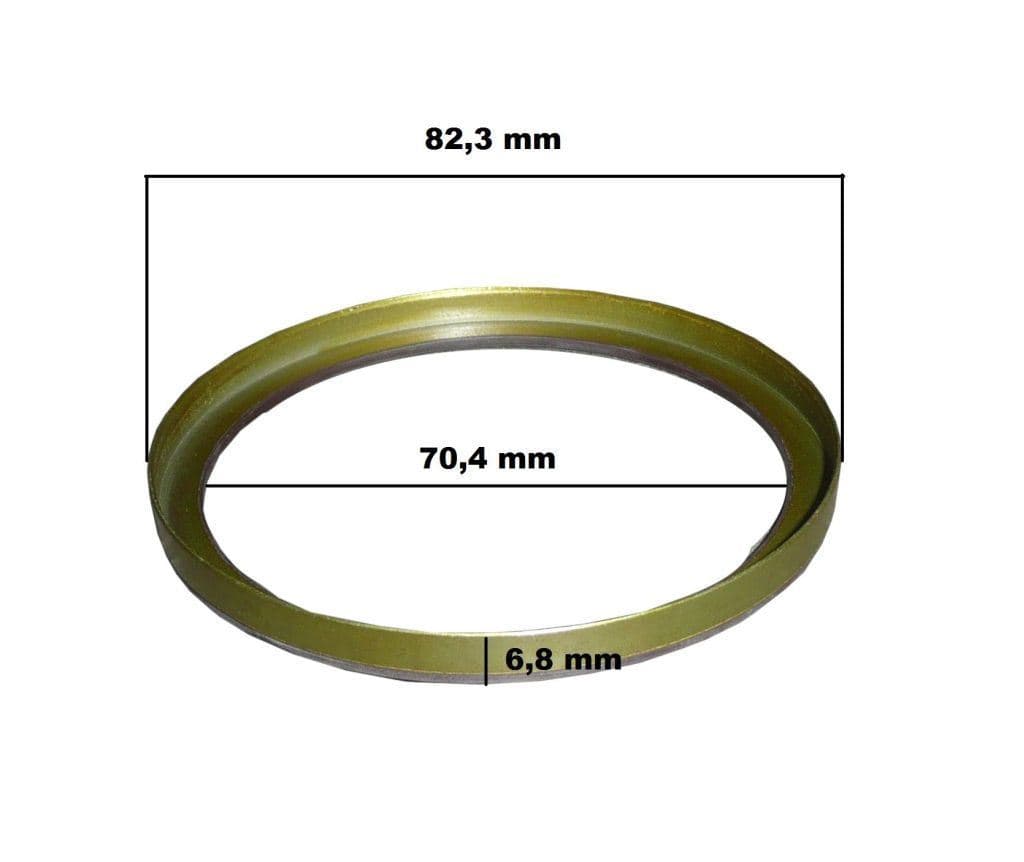 Ring - ABS Magnetisk RENAULT från Autofrance - bild 4