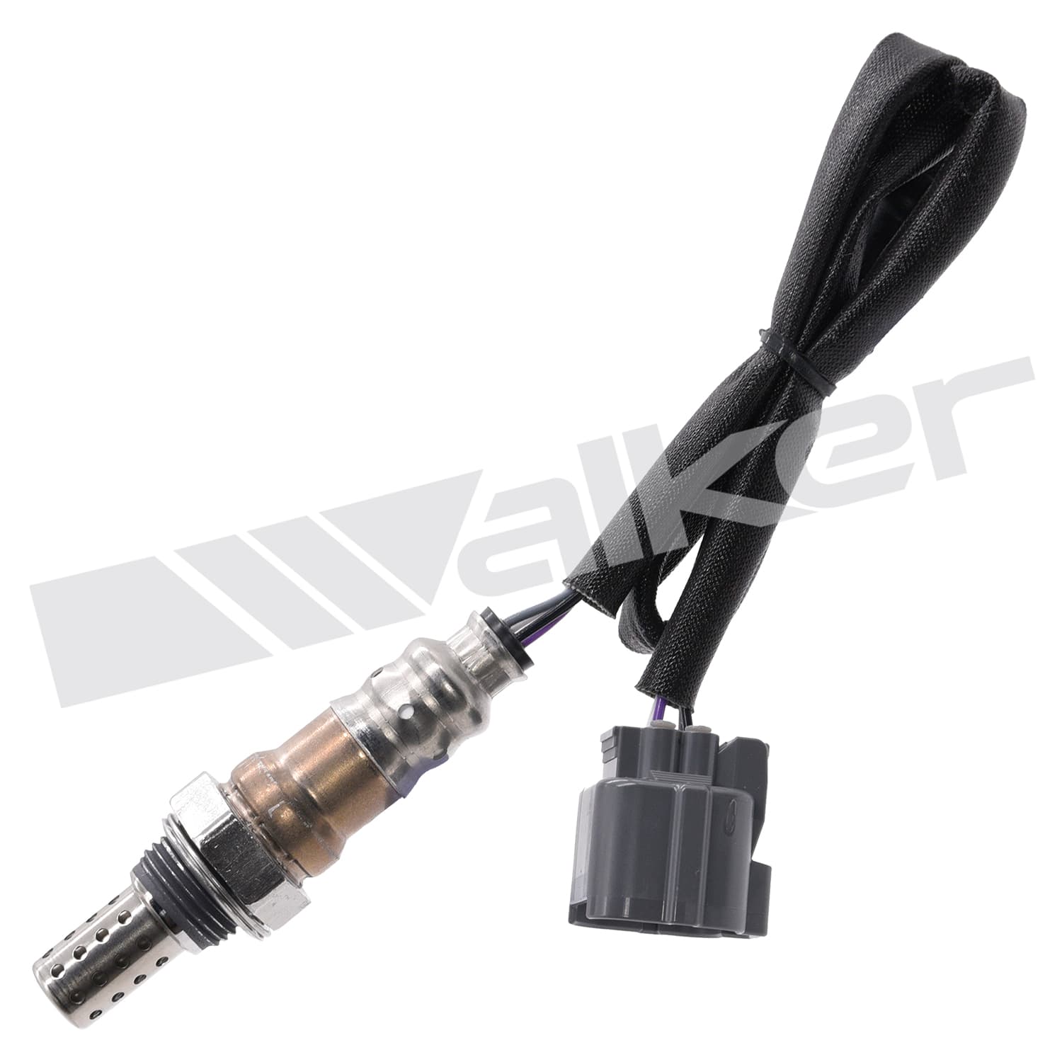 Lambdasond, Honda från Galwin