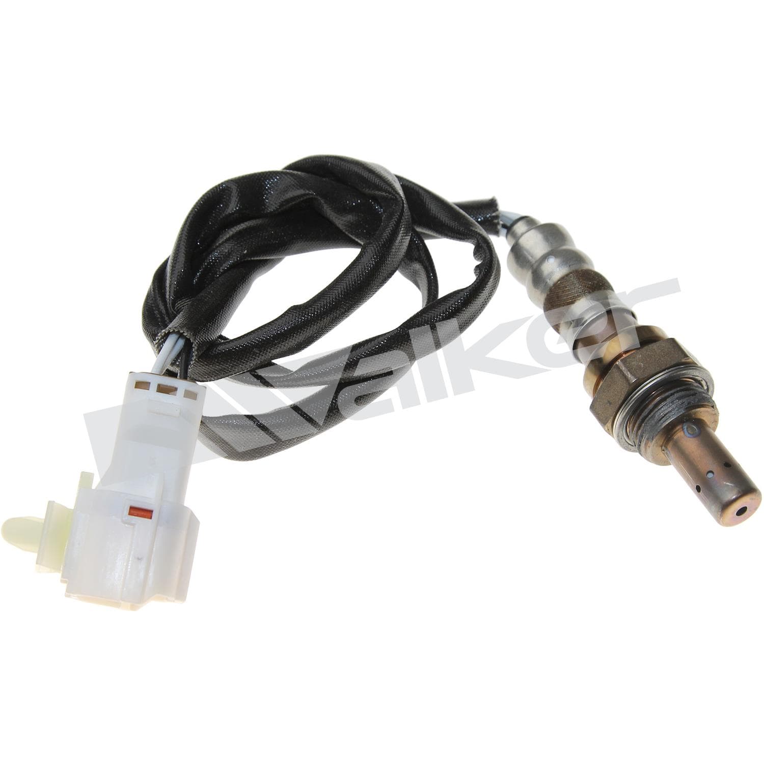 Lambdasond, Kia från Galwin