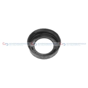 Fjäderfäste, Framaxel från Autofrance