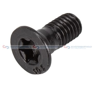 Bult, Bromsskiva M6x 16mm från Autofrance