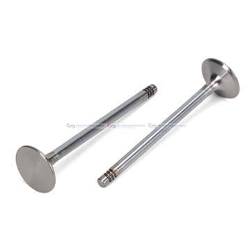 Insugningsventil Ø-27,4 Ø-6 45Grad 100mm från Autofrance