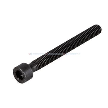 Skruv, insprutningsmunstycke från Autofrance