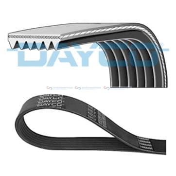 Flerspårsrem 6 från Autofrance