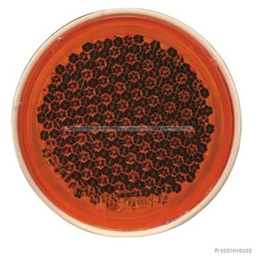 Reflektor Anbau från Autofrance