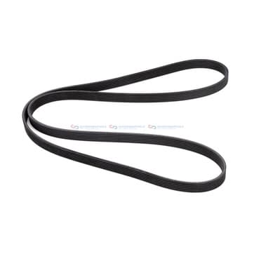 Flerspårsrem från Autofrance