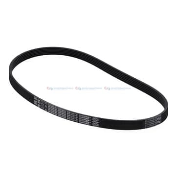 Flerspårsrem 6 1151mm från Autofrance