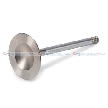 Insugningsventil från Autofrance