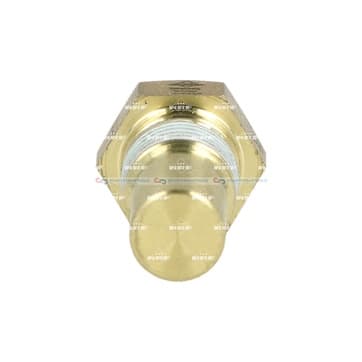 Givare, kylvätsketemperatur 1/8 NPT från Autofrance