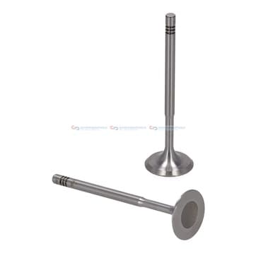 Insugningsventil Ø-29,5 Ø-6 45Grad 100,9mm från Autofrance