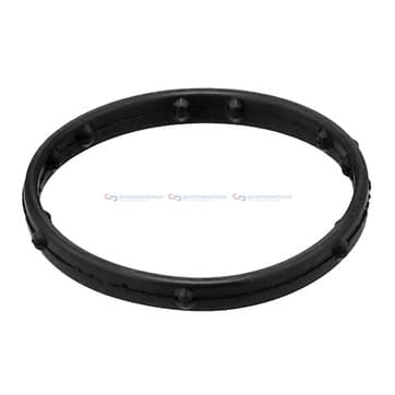 Packning, kylvätskefläns från Autofrance