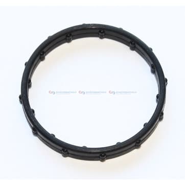 Packning, kylvätskefläns från Autofrance