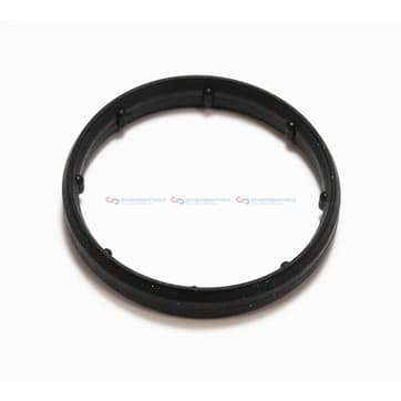 Insugsgrenrörspackning, hus från Autofrance