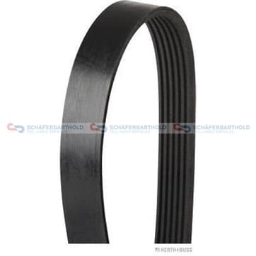 Flerspårsrem 6 1548mm från Autofrance