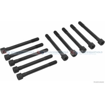 Topplocksbultsats M10x 100mm från Autofrance