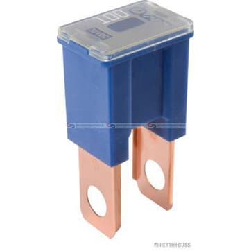 Säkring 100A blau från Autofrance