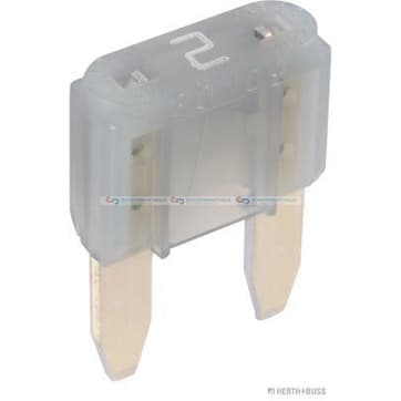 Säkring 2A grau från Autofrance