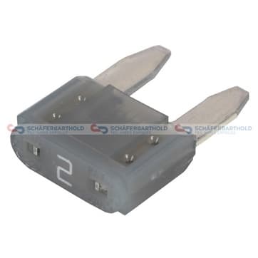 Säkring 2A grau från Autofrance