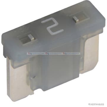 Säkring 2A grau från Autofrance