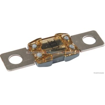 Säkring 300A grau från Autofrance