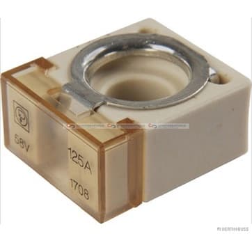 Säkring 125A från Autofrance