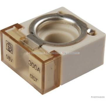 Säkring 300A från Autofrance