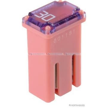 Säkring 30A rosa från Autofrance