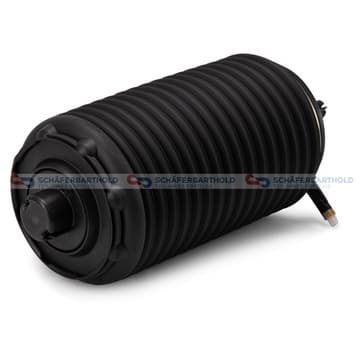 Luftfjäder, fjädring, Bakaxel vänster — Bakaxel vänster från Autofrance