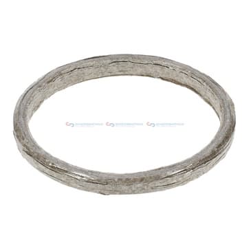 Tätningsring, insprutningsventil (ureainsprutning) från Autofrance