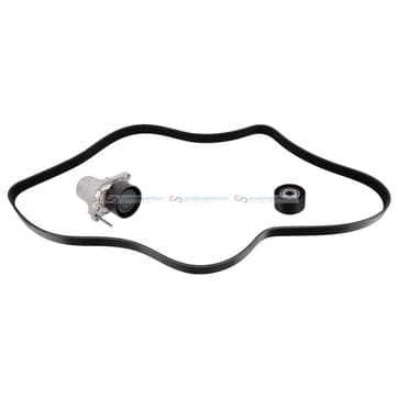 Flerspårsremssats 7 1687mm från Autofrance