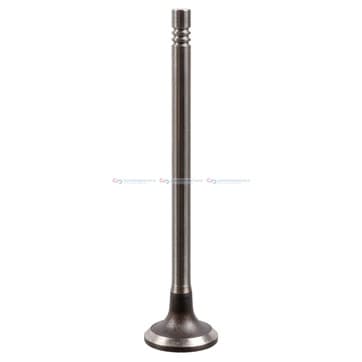 Insugningsventil Ø-24 Ø-6 105mm från Autofrance