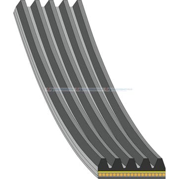 Flerspårsrem 5 1166mm från Autofrance