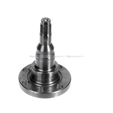 Bärtapp, axelbalk, Bakaxel vänster från Autofrance