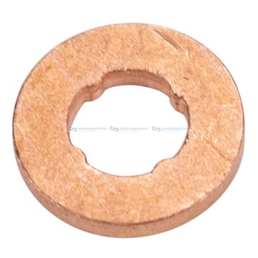 Insprutarmunstycke från Autofrance