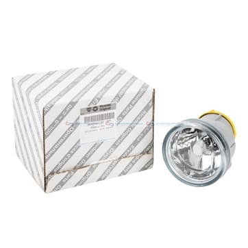 Dimljus, fram från Autofrance