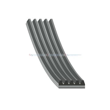Flerspårsrem 5 1440mm från Autofrance