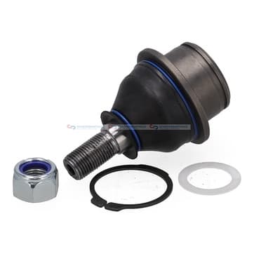 Kulled från Autofrance