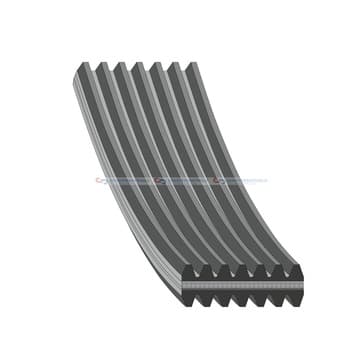 Flerspårsrem 7 1884mm från Autofrance
