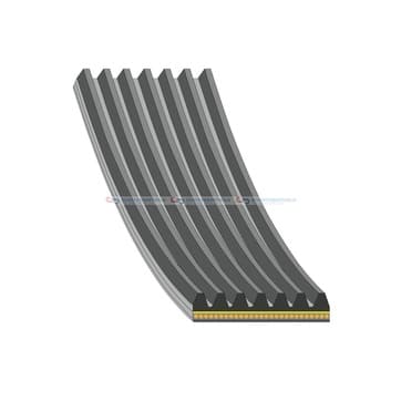 Flerspårsrem 7 975mm från Autofrance