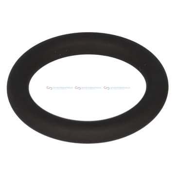 Tätningsring innerø-21,1x tjocklek4mm FPM (Flu från Autofrance