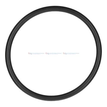 Tätningsring innerø-39,3x tjocklek2,62mm FPM ( från Autofrance