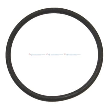 Tätningsring innerø-48x tjocklek3mm FPM (Fluor från Autofrance