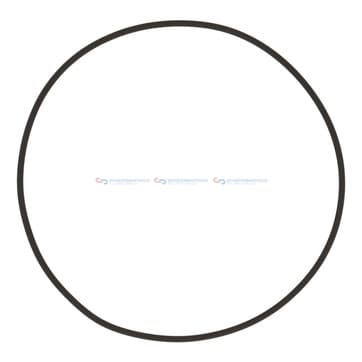 Tätningsring innerø-120,3x tjocklek2,62mm FPM från Autofrance