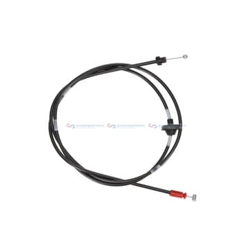 Motorhuvsvajer från Autofrance