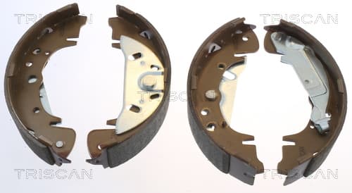 Bromsbackar från TRISCAN