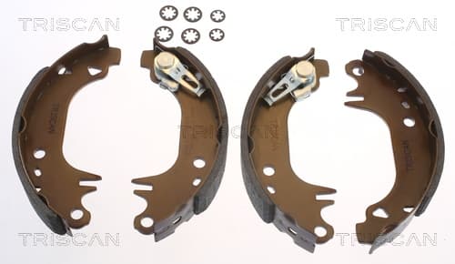 Bromsbackar från TRISCAN