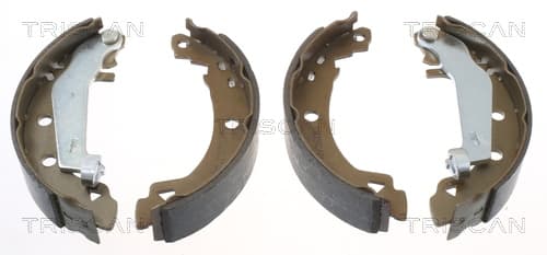 Bromsbackar från TRISCAN