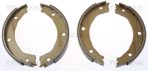 Bromsbackar handbroms från TRISCAN