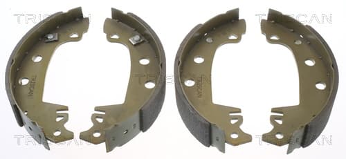 Bromsbackar från TRISCAN