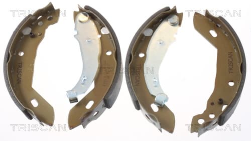Bromsbackar från TRISCAN